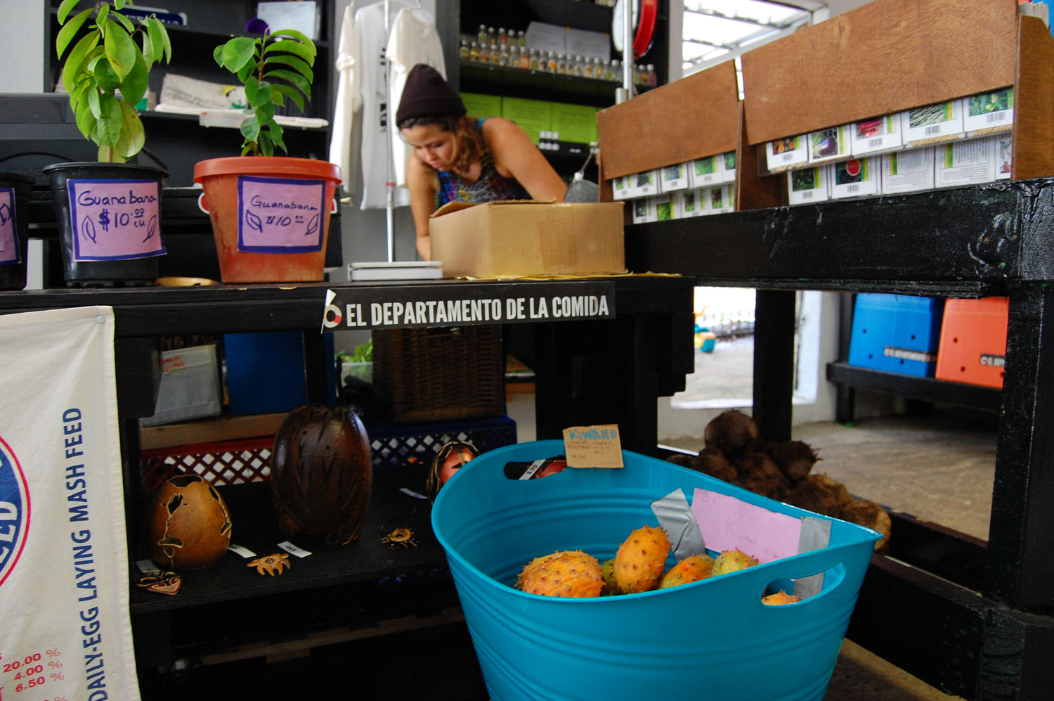 Imagen de cajas de comida, semillas y árboles frutales parte de la tienda.