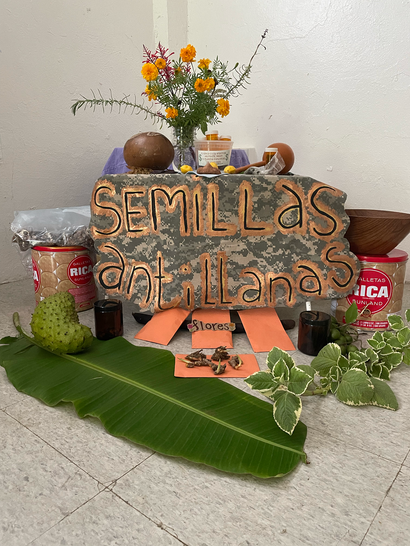 un altar que contiene: un plaque que dice 'semillas antillanas'; varias semillas, hojas de guineo y oregano brujo, flores, y una fruta de guanabana
