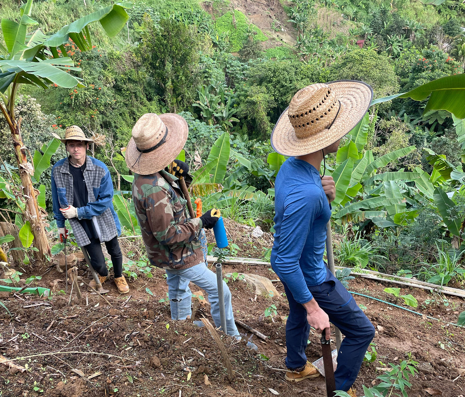tres personas trabajando en un huerto por el monte