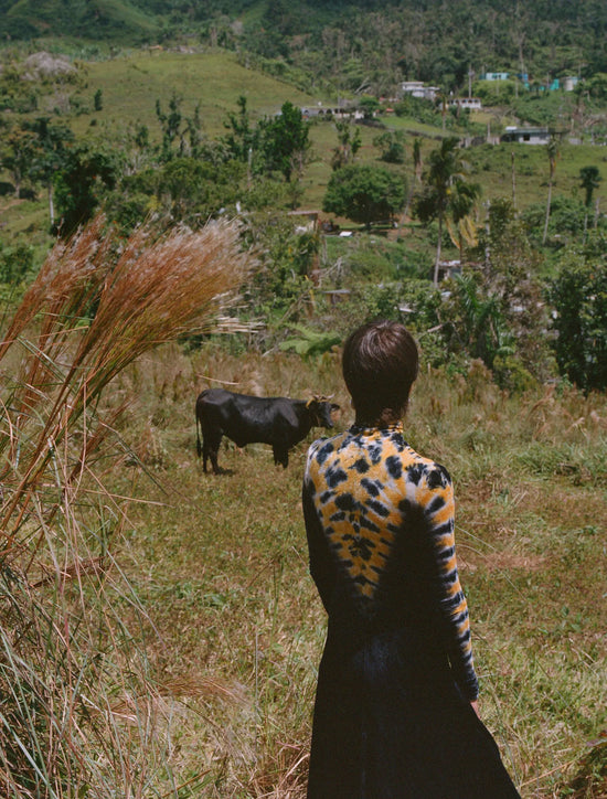 Imagen del articulo The Young Farmers Behind Puerto Rico’s Food Revolution