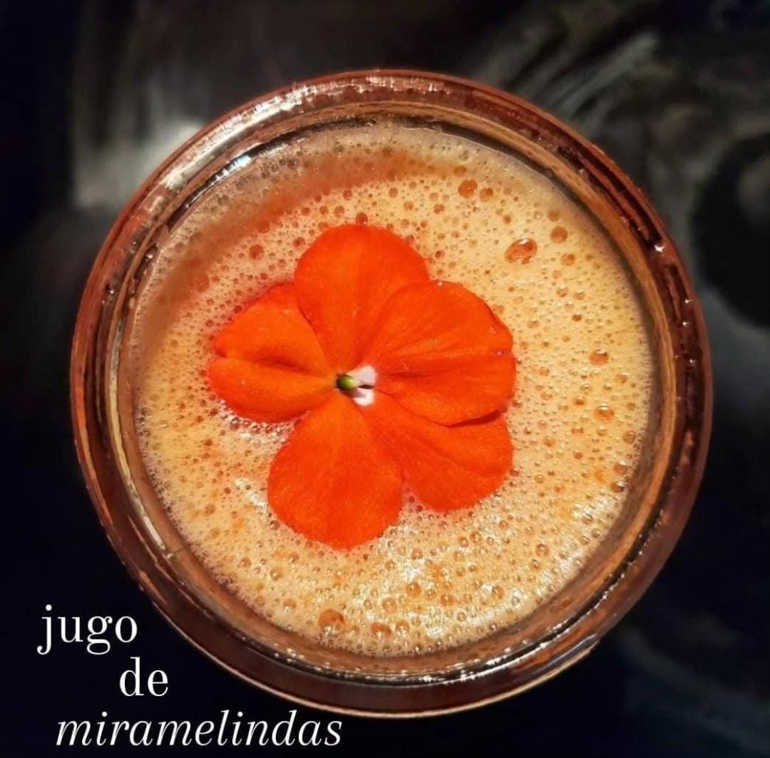 BUENAZAS: Plantas Alimenticias No Convencionales