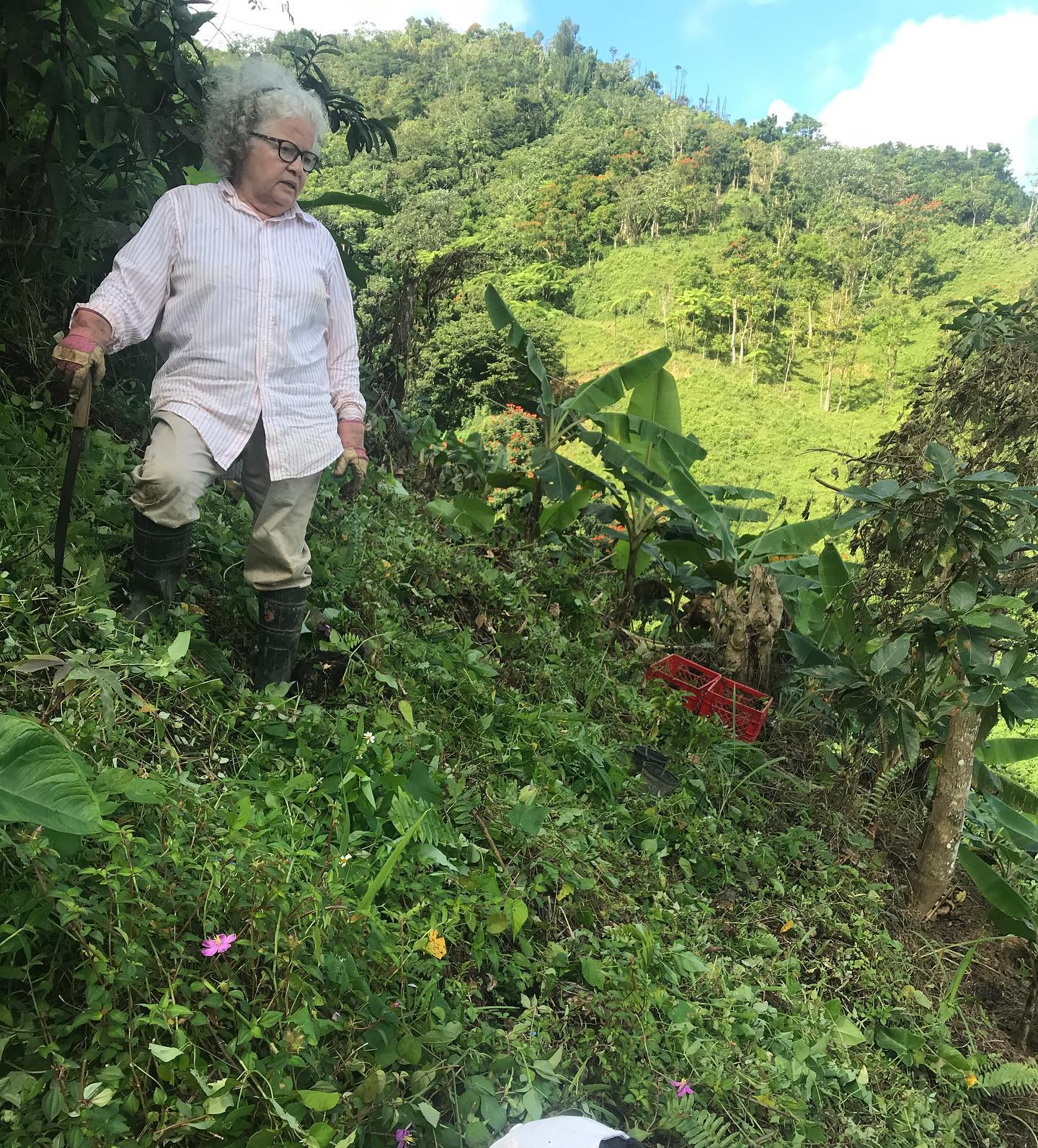 imagen de María García Carrión, vecina y agricultora de San Salvador, Caguas, con machete en mano y ropa de trabajo, parada en una cuesta en su siembra