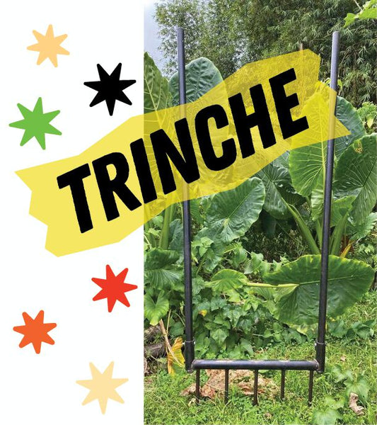 Trinche (Alquiler)