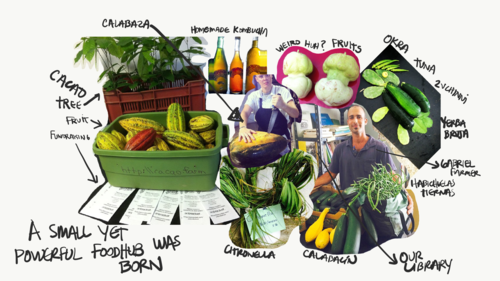 Imagen mostrando un collage de calabaza, okra, cacao, habichuelas, y otros para mostrar el concepto de food hub.