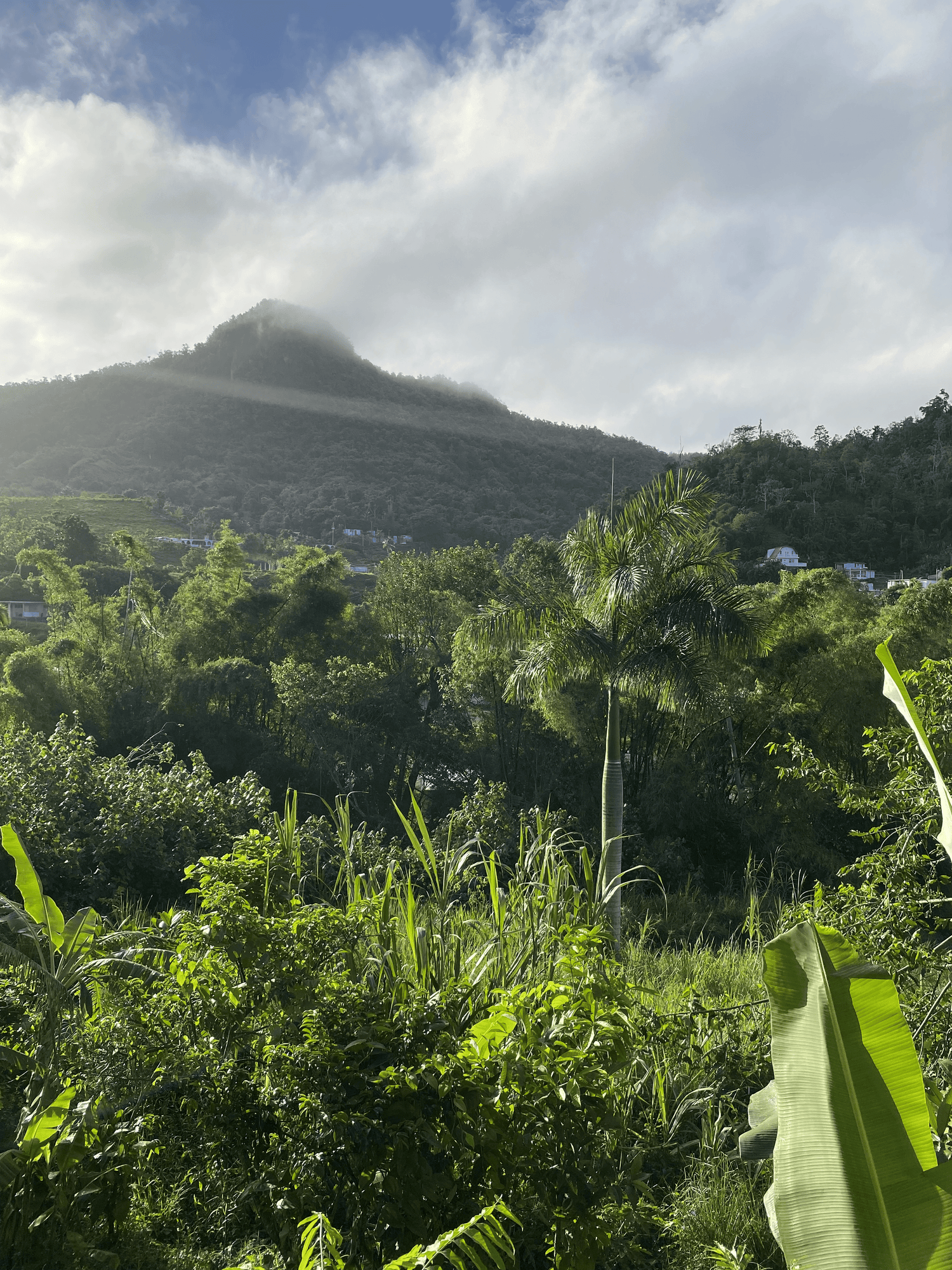 Imagen de montaña en Caguas.