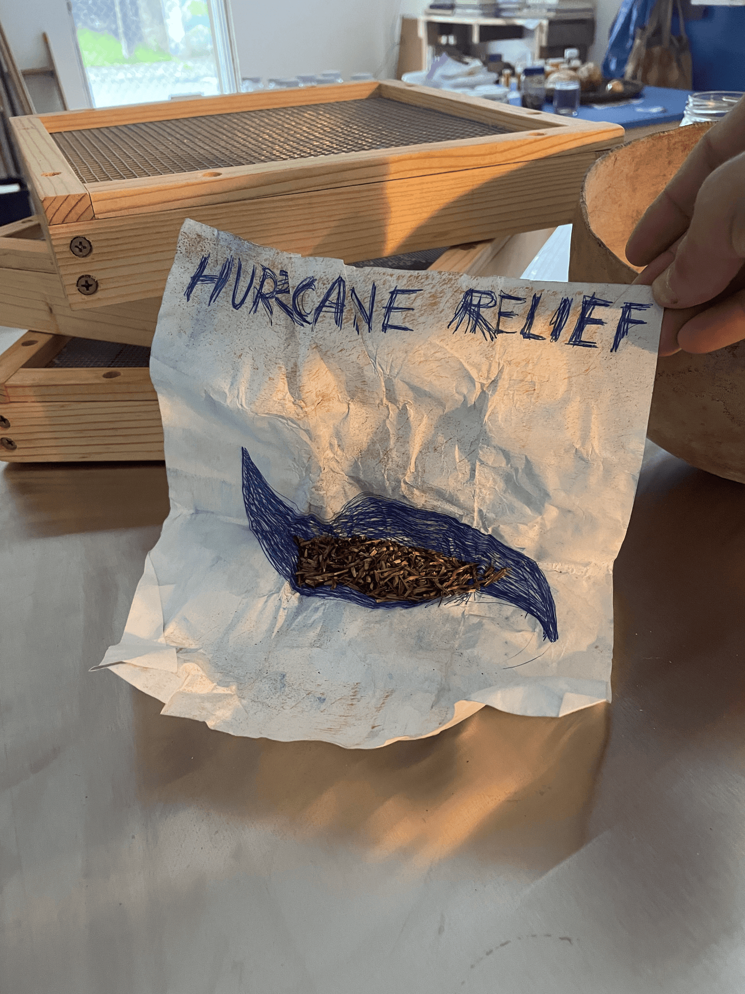 Imagen de papel con semillas y letras que dicen Hurricane Relief.